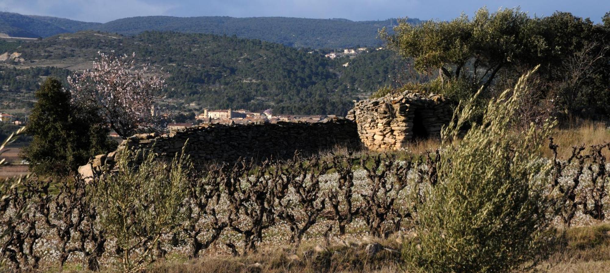 Maison Vigneronne De Bonne Maman - Climatisee Cesseras Kültér fotó