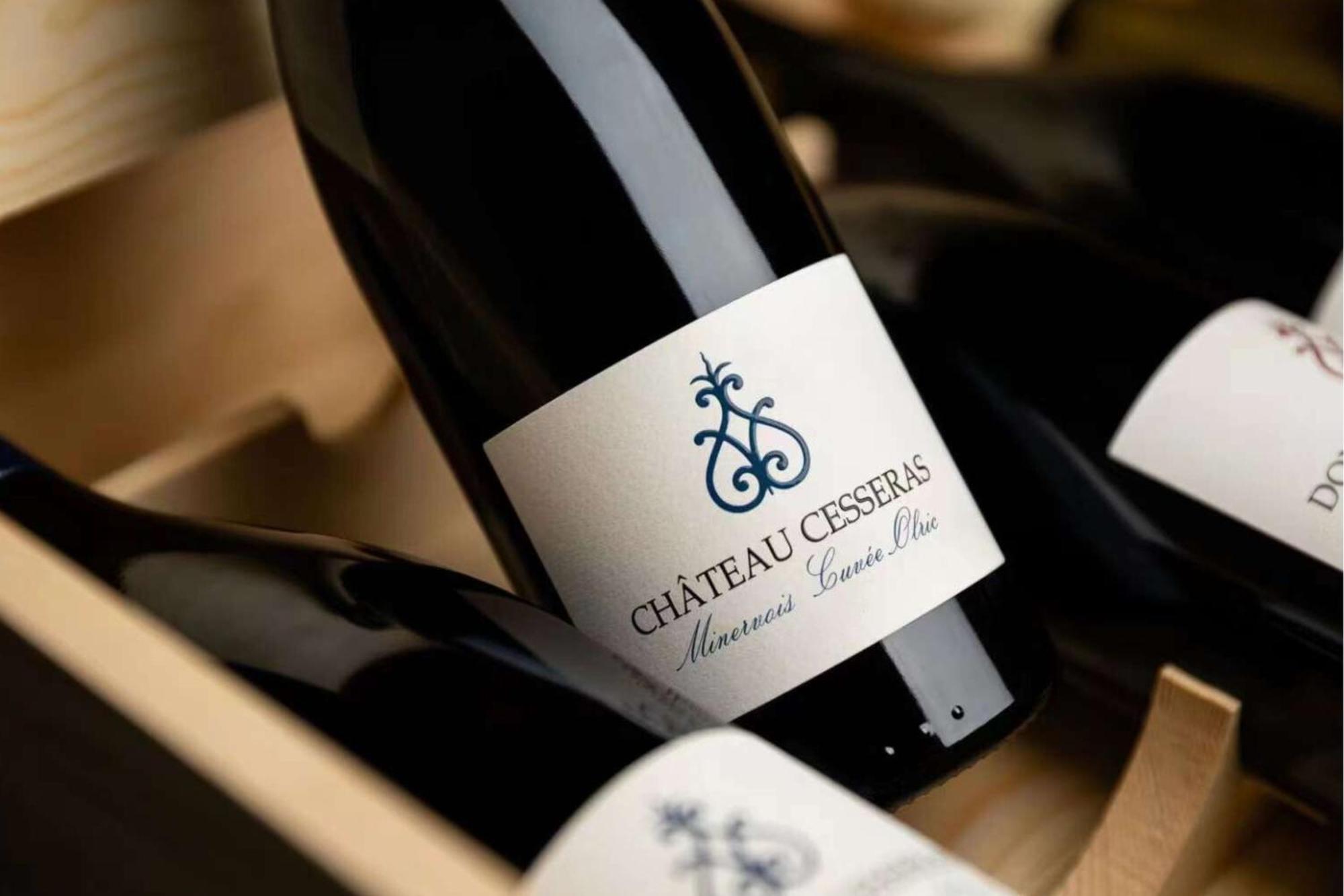 Maison Vigneronne De Bonne Maman - Climatisee Cesseras Kültér fotó
